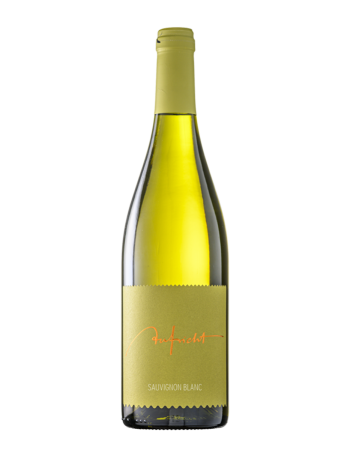 Aufricht Sauvignon Blanc